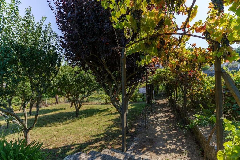 Quinta De Villa Franca - Douro เปโซดาเรกวา ภายนอก รูปภาพ